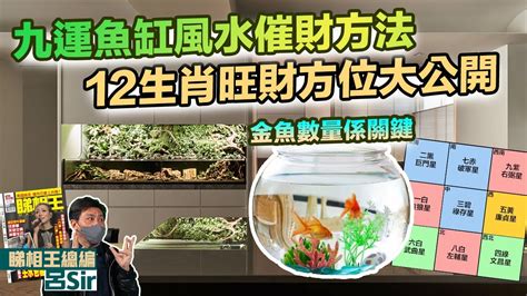 2023風水魚缸佈局|【2023風水魚缸佈局】打造風水財庫！2023年魚缸佈局必看指南